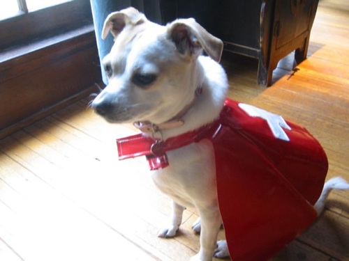 gudrun_cape.jpg gudrun_cape.jpg