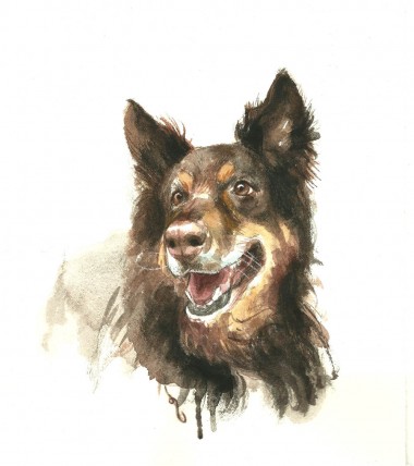 ralph-watercolor- Shawn Barber