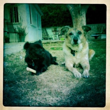 bronnie & frank