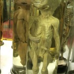 paris museum 1