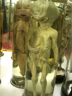 paris museum 1