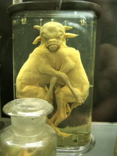 paris museum