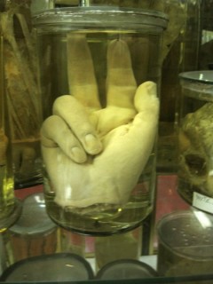 paris museum 4