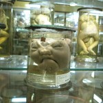 paris bảo tàng 5 paris museum 5