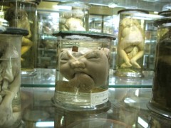 paris museum 5