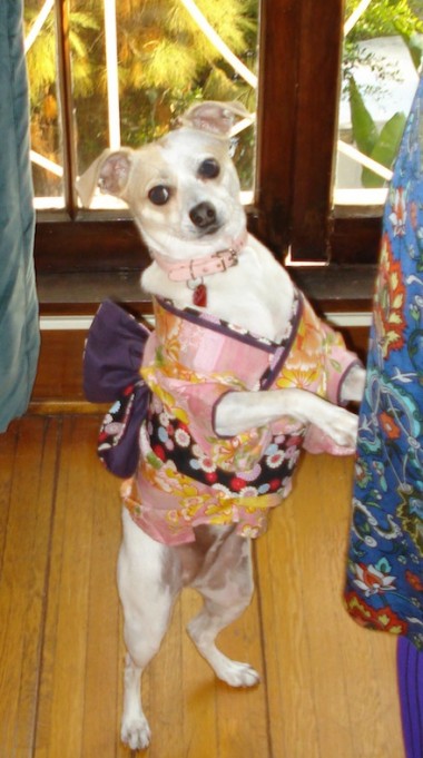 xo Gudrun Kimono Kutie