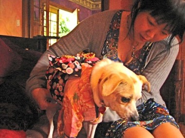 xo gudrun kimono met margaret